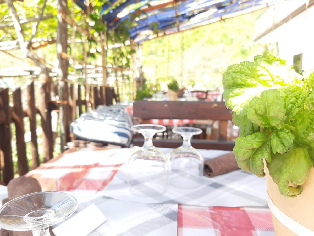Agriturismo Il Pettirosso Agerola Εξωτερικό φωτογραφία