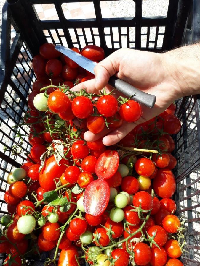 Agriturismo Il Pettirosso Agerola Εξωτερικό φωτογραφία
